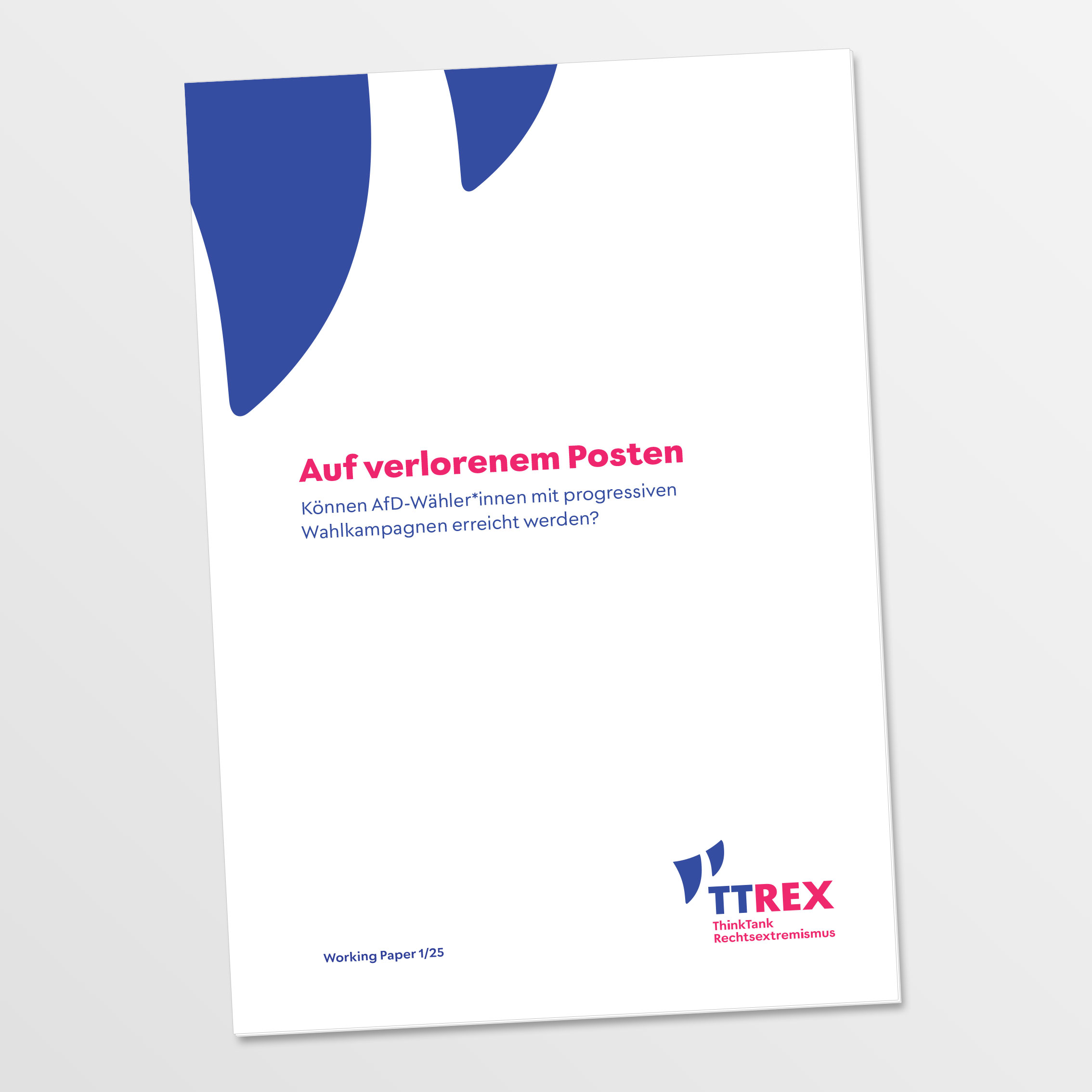 Auf verlorenem Posten Können AfD-Wähler*innen mit progressiven Wahlkampagnen erreicht werden?